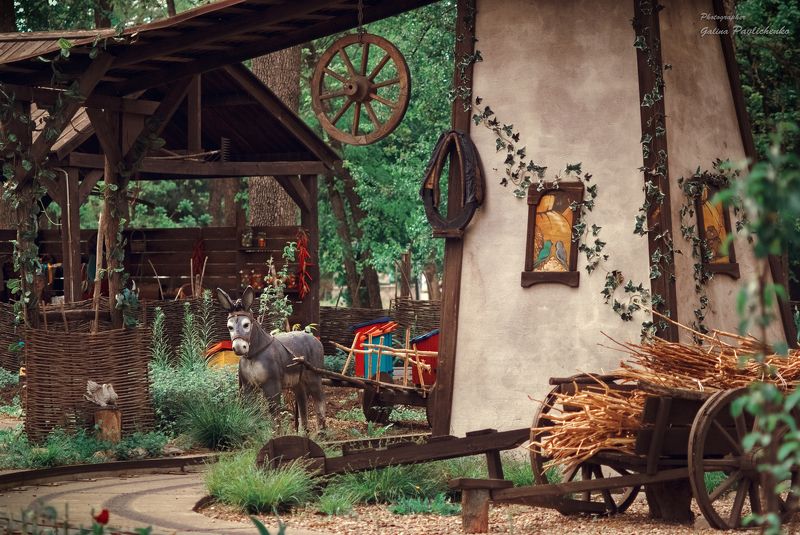 аист, деревенское хозяйство, деревня, детский аттракцион, дозор, животные, казак, корова, краснодар, лошадь, осёл, подсобное хозяйство, природа, свиньи, хохол, хуторор, чистяковская роща Хуторок фото превью