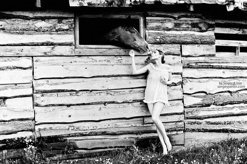 ...............photo preview