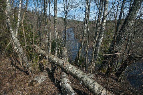 Pro весну на реках Тверской области