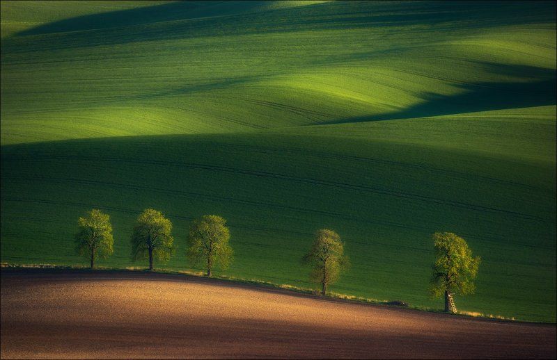 chiaroscuro, south moravia, весна, свет, тени, чехия, южная моравия ***** фото превью