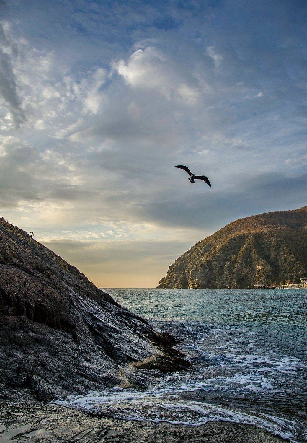 утро, рассвет, восход, море, чайка, Валерий Наумов