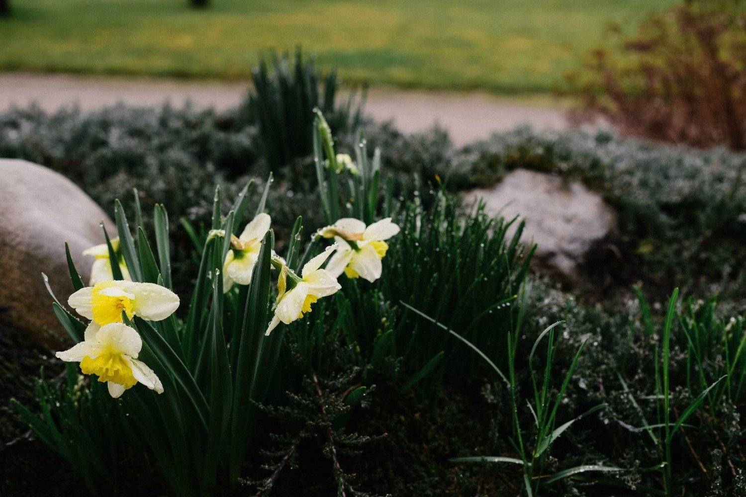 , Шнель Андрей