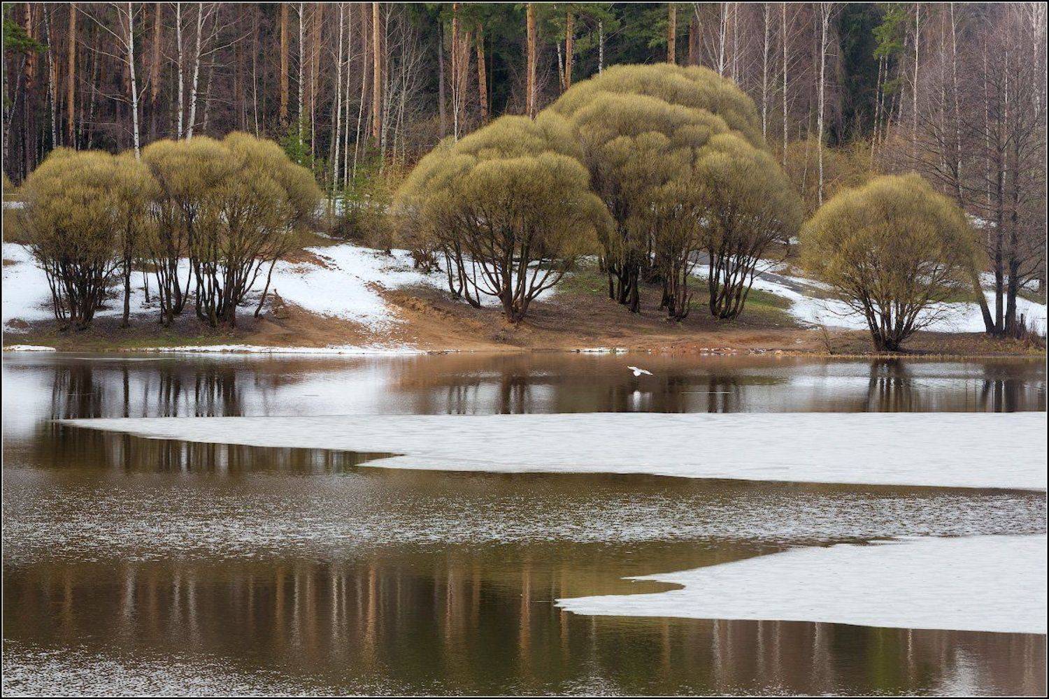 Россия, Ивановская обл, Иваново, Александр Марецкий