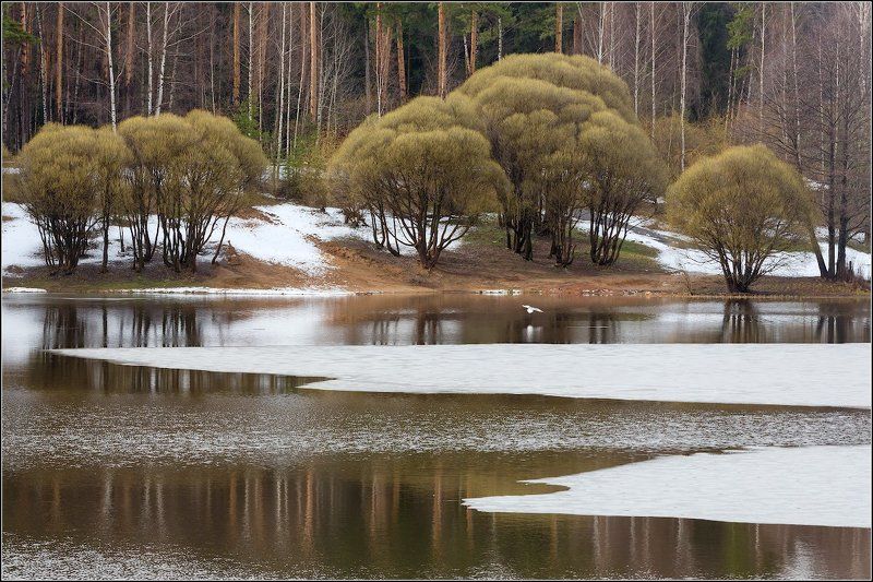 Последний лёд фото превью
