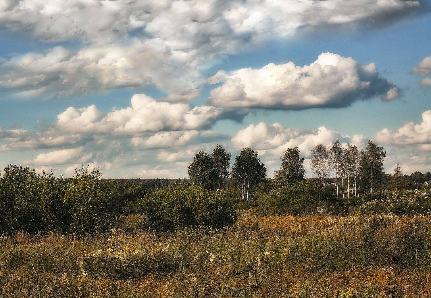 , Булатов Дмитрий