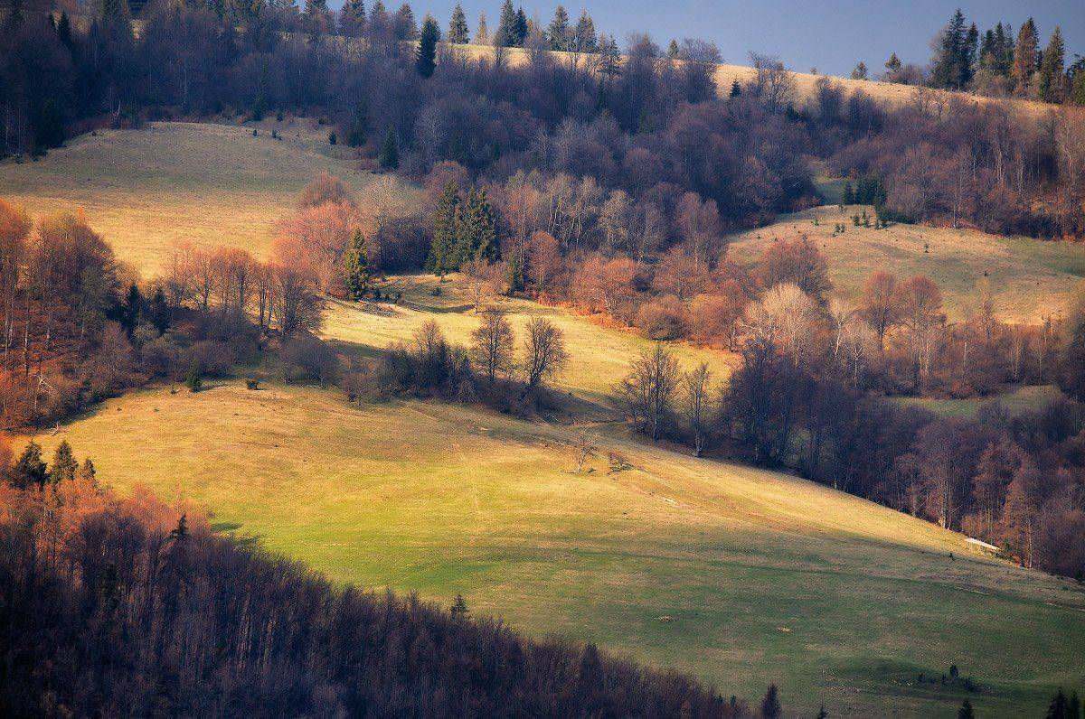 Апрель, Весна, Карпаты, Украина, Вейзе Максим