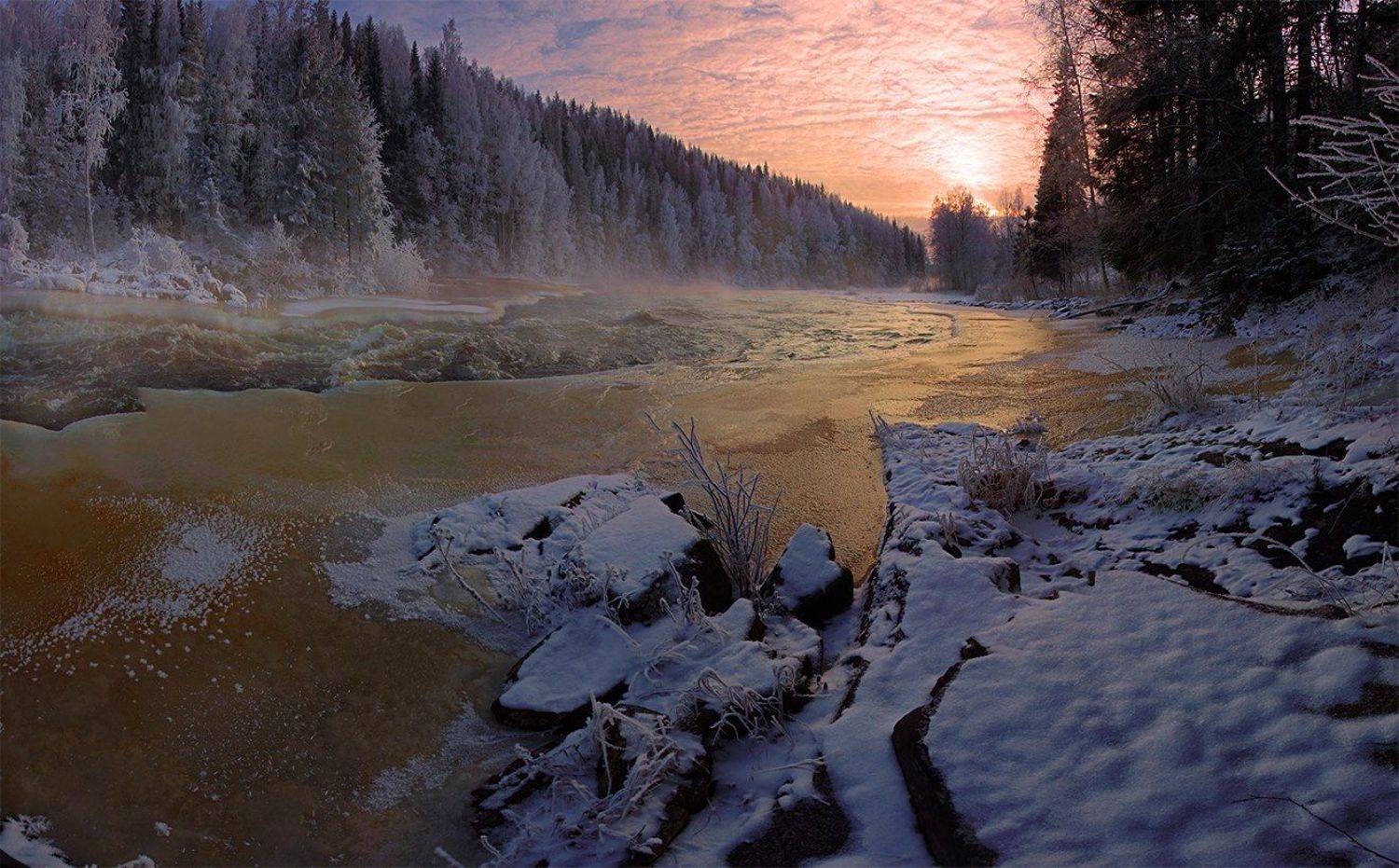 , Петр Косых