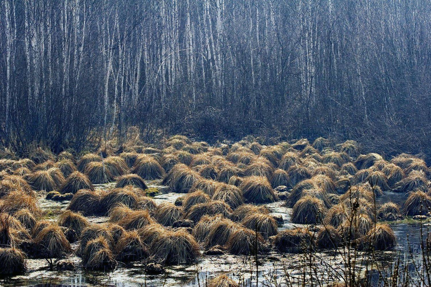, Рудик Валерий