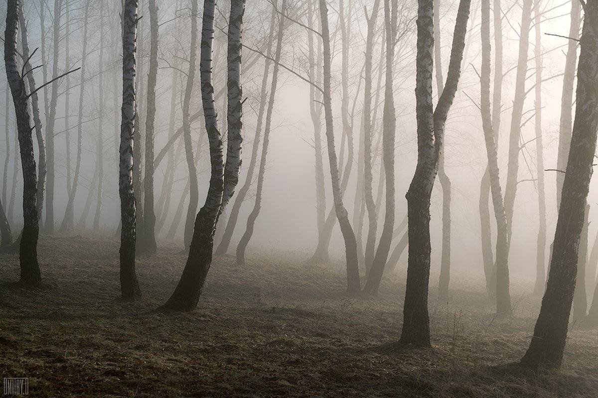 , Дмитрий Доронин