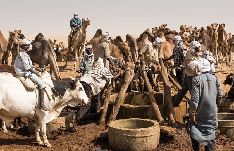 Кочевники, Сахара, Чад У Колодца фото превью