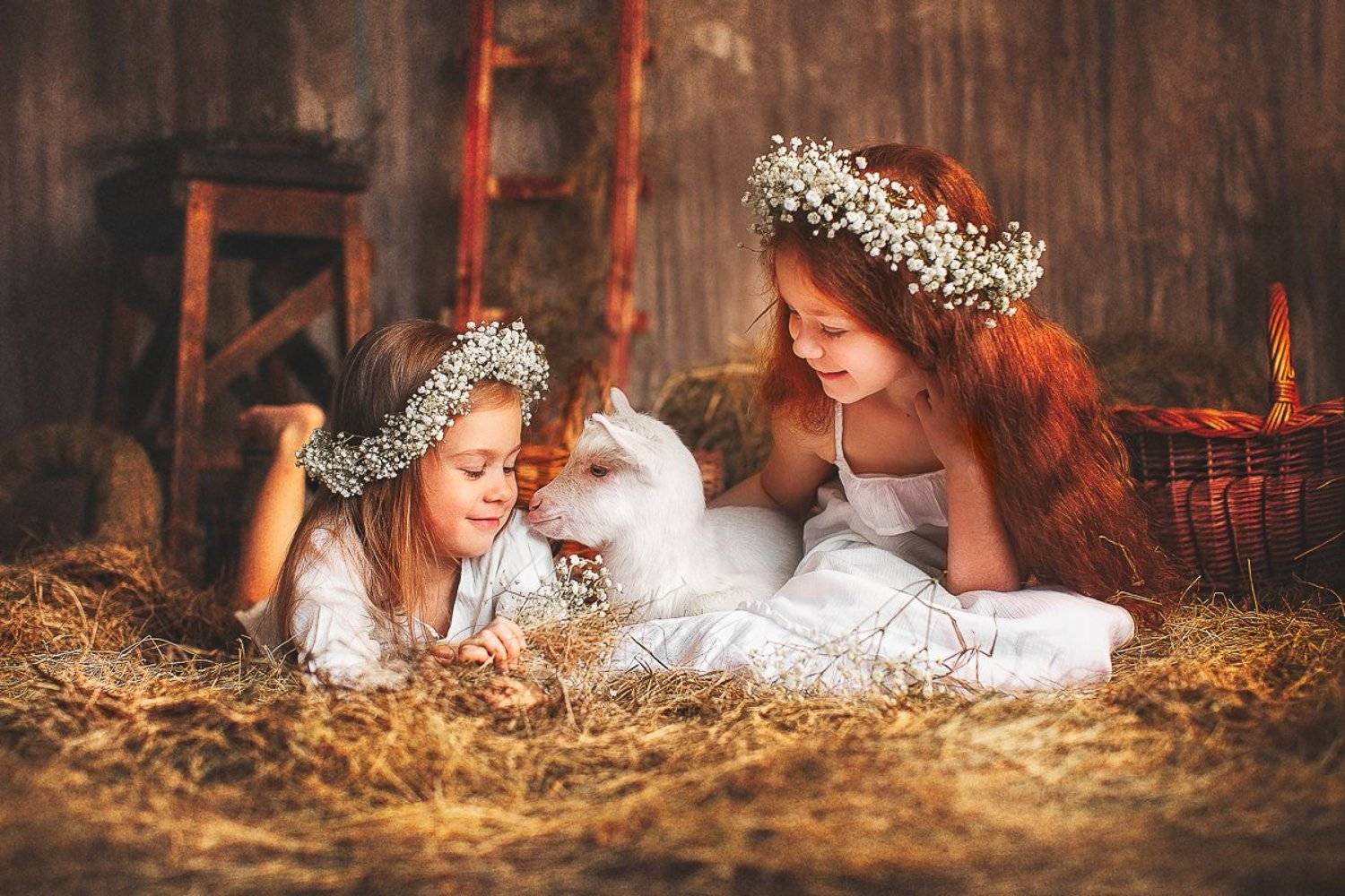 goat, коза, козленок, сено, хлев, деревня, сарай, сестры, сестренка, девочка, рыжая, Ульянова Лилия