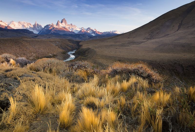 Такой разный Фицрой фото превью