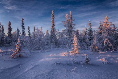 Царство Снежной Королевы