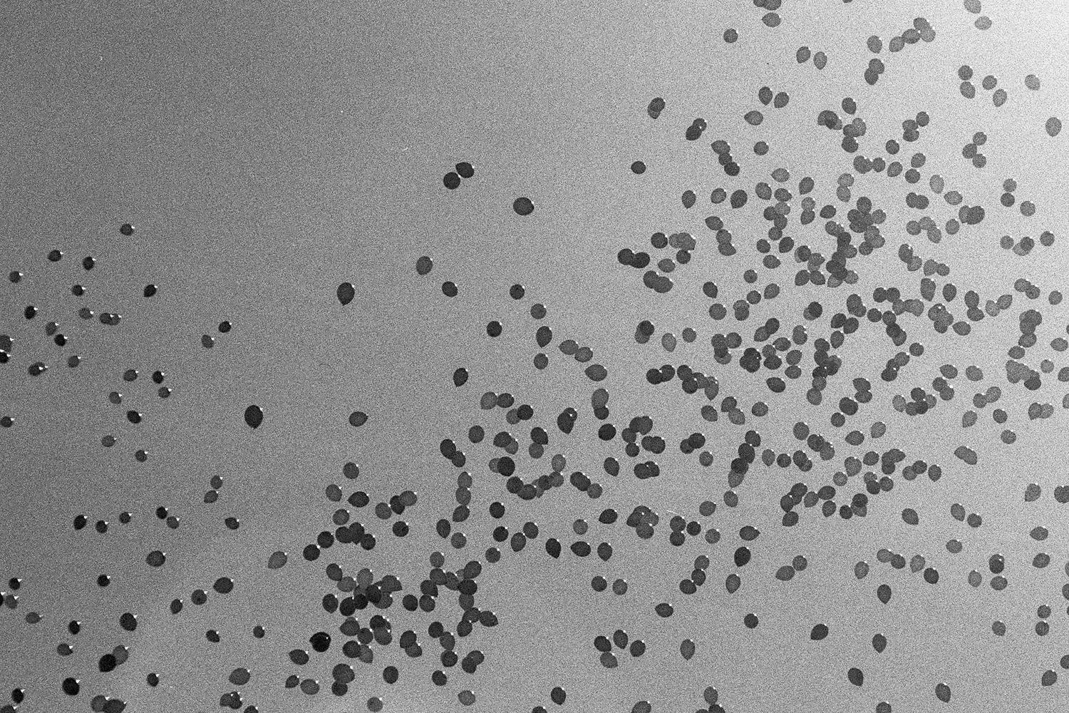 minimalism, dmitriysosna, koshkinotime, sosna, Дмитрий Сосна