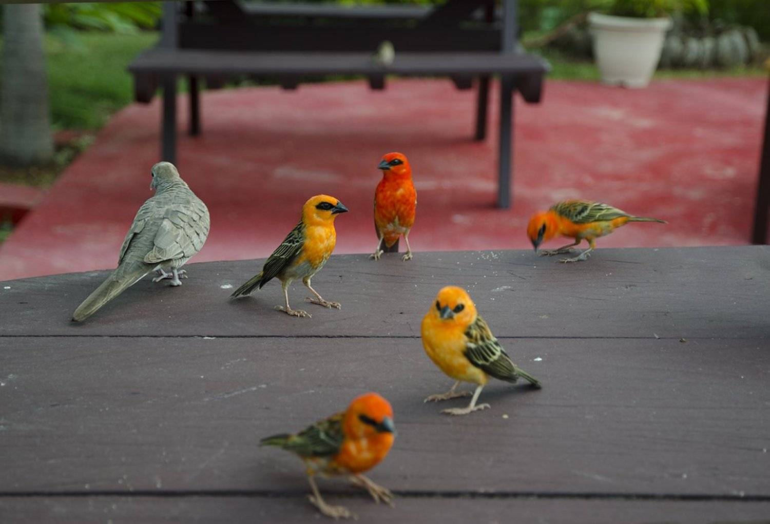 , Марина Мудрова