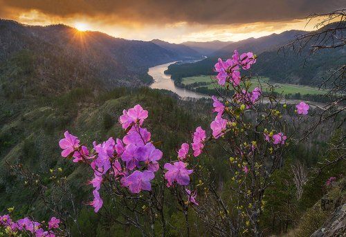 Апрельский вечер над Катунью