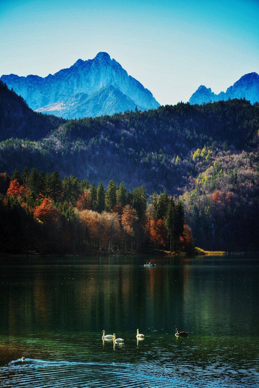 , Анастасия Волкова