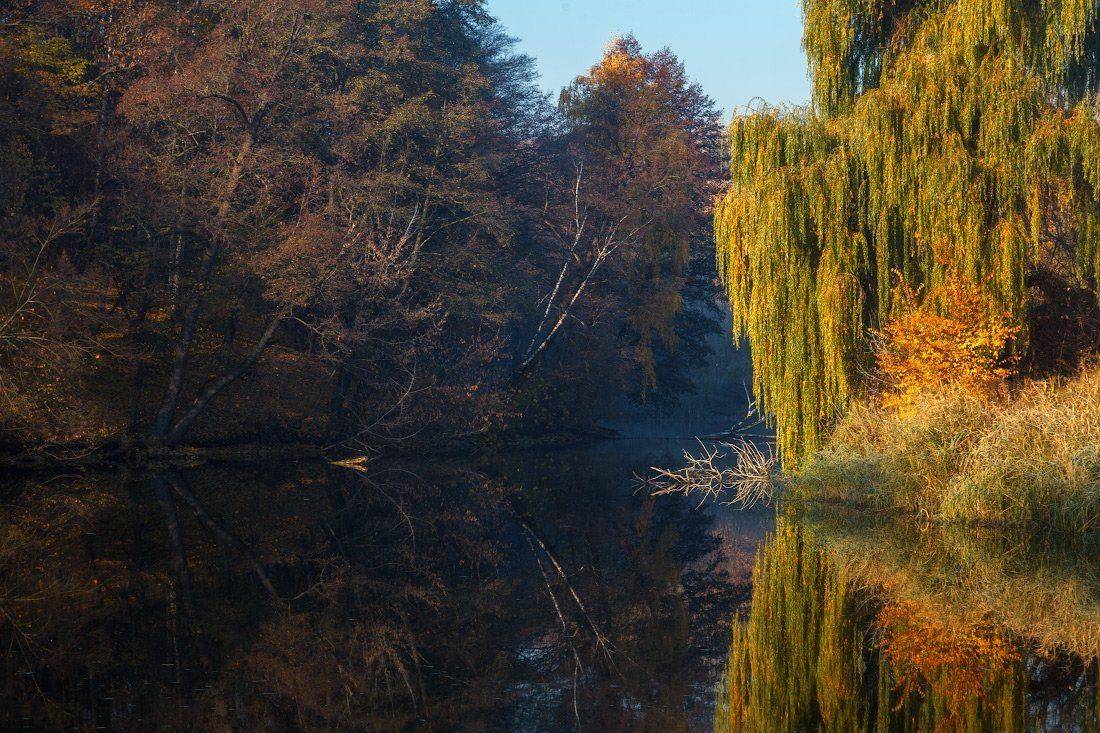 , Ярослав Тюрменко (Jaremi)