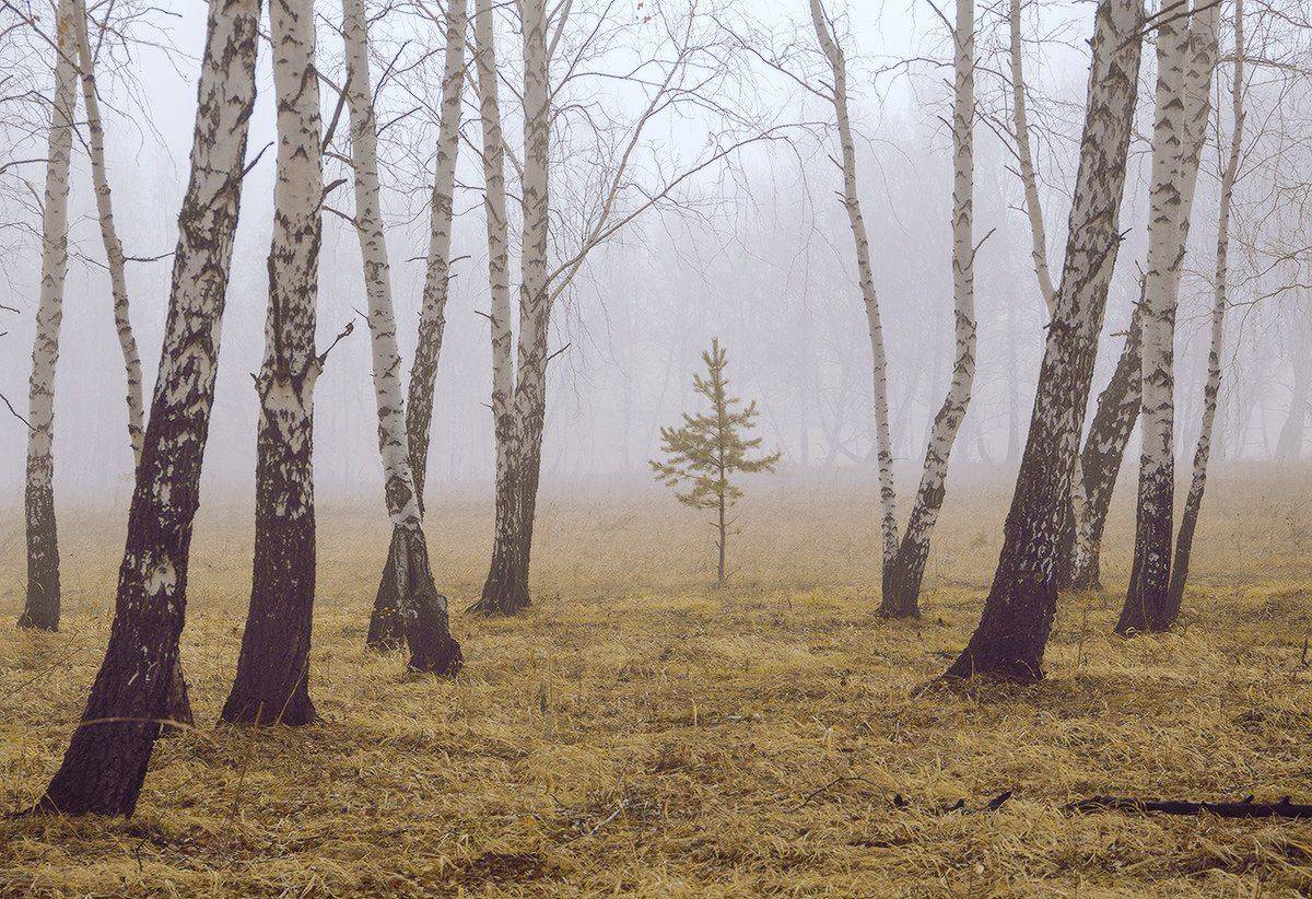 , Николай Морский