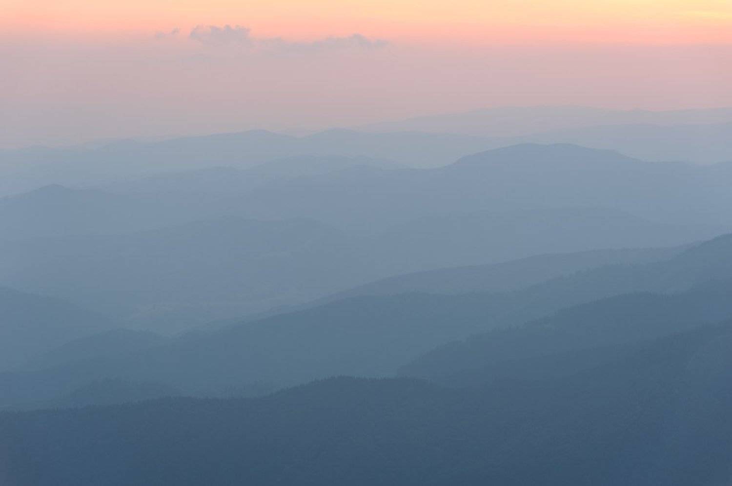 , Артур Козлов