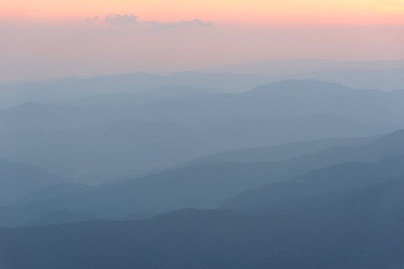 * * * фото превью