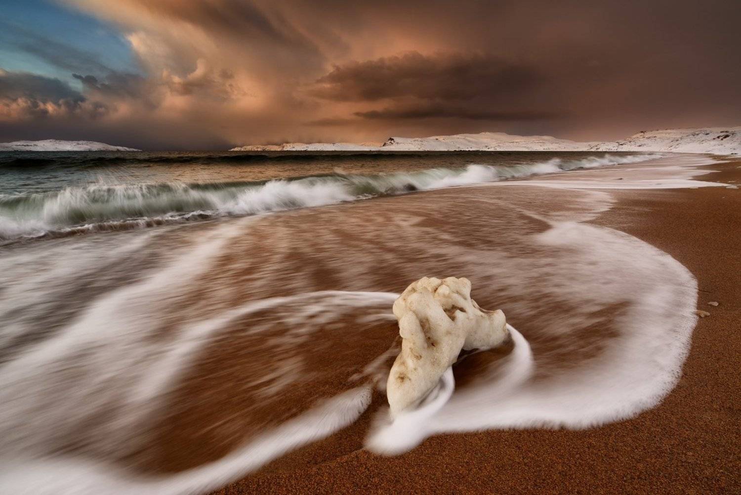 , Максим Евдокимов ( www.wildphotorus.ru )
