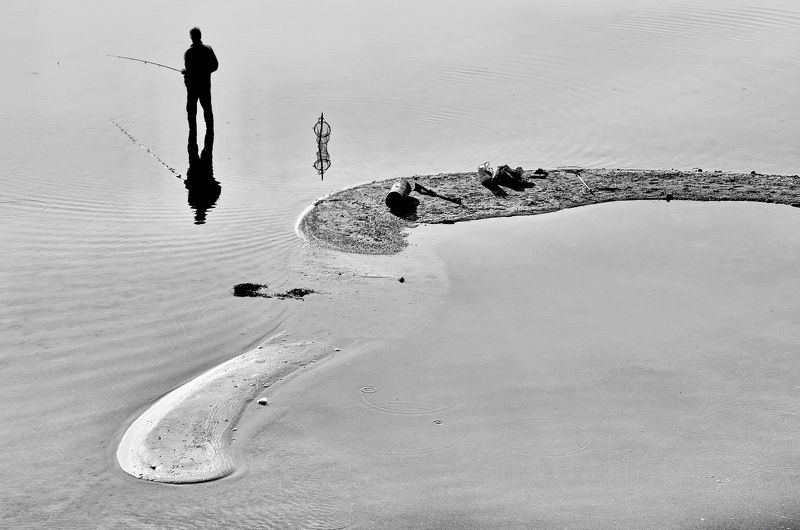 Compositio фото превью