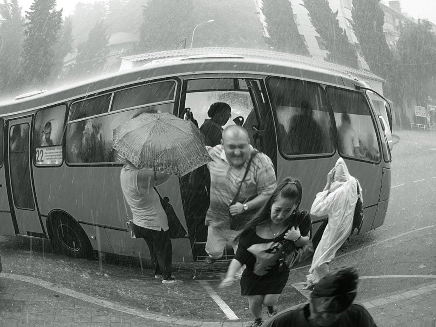 , Турков Евгений