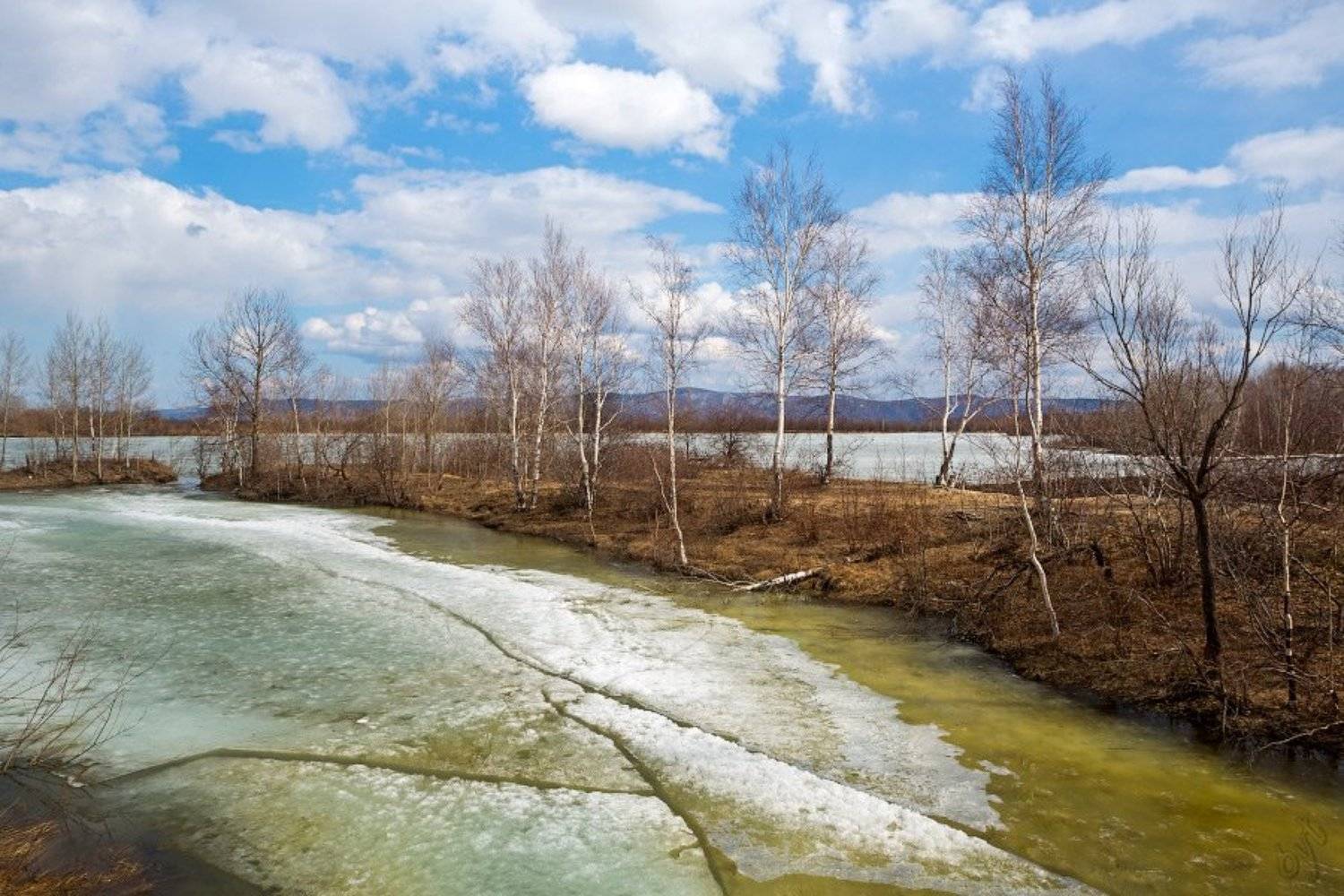 апрель, Виктор Бут