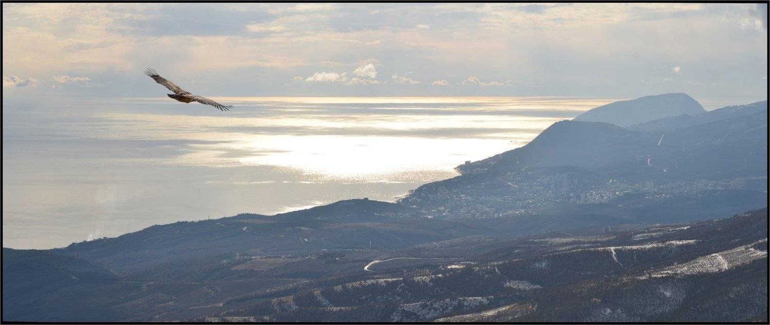 , Владимир Метцгер