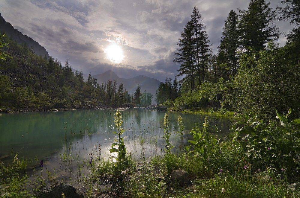 Алтай, Юсупов Александр