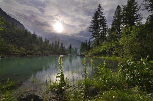 свет над Шавлой