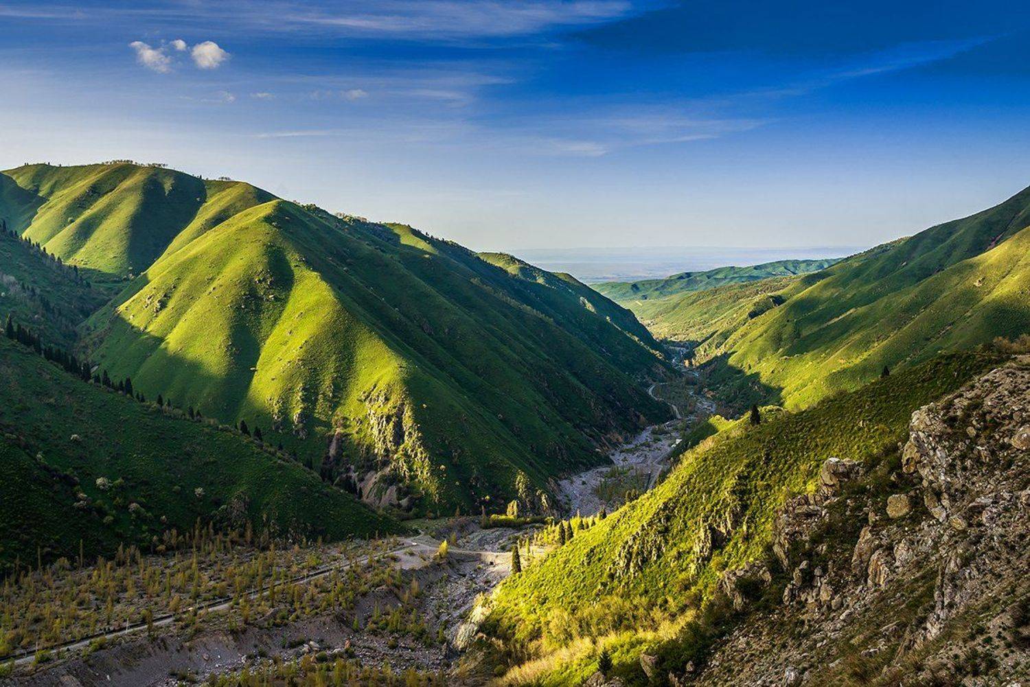 , Дмитрий Тишков