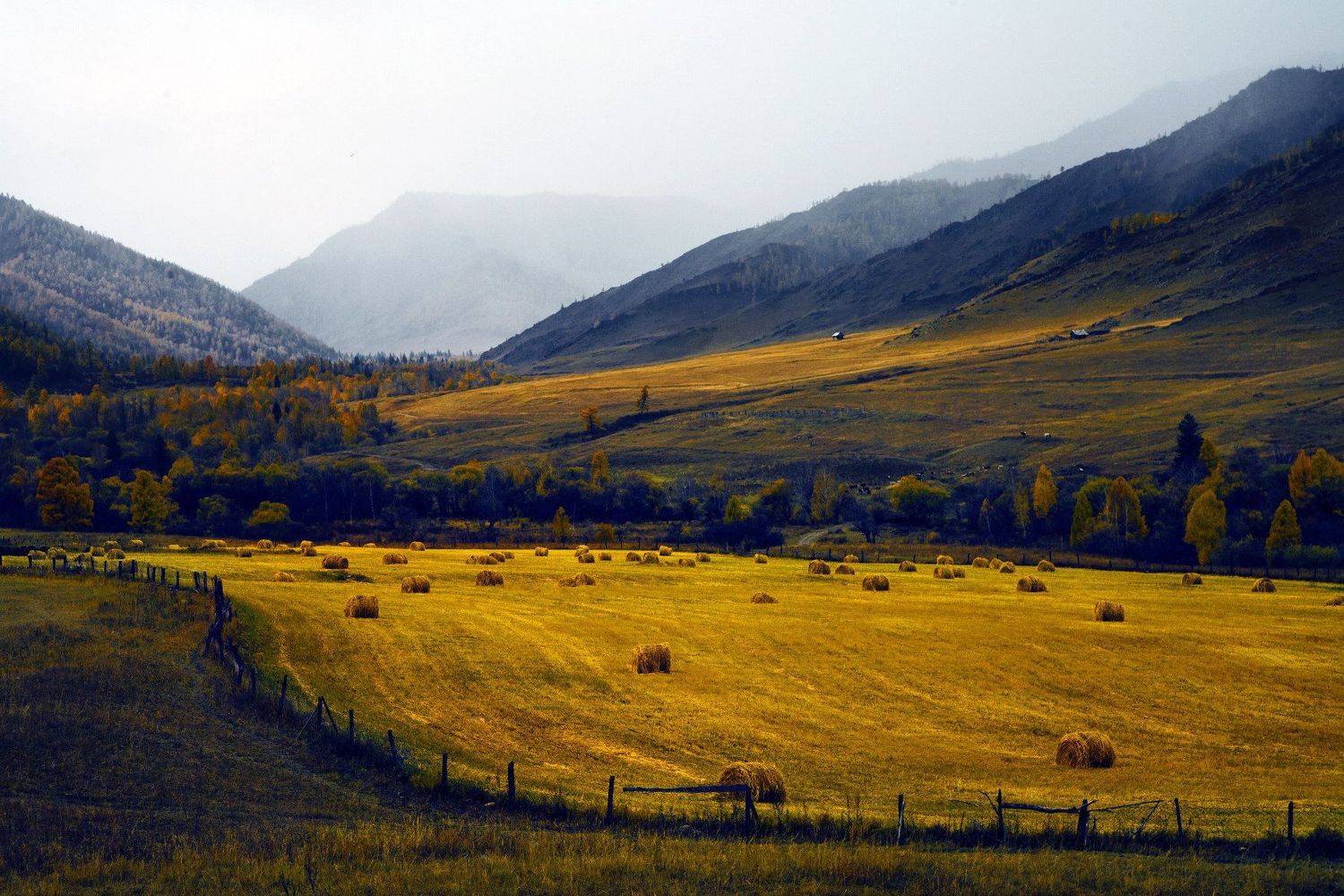 , Рудик Валерий