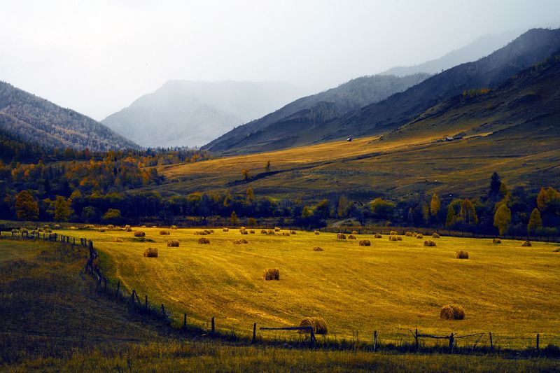 Алтай фото превью