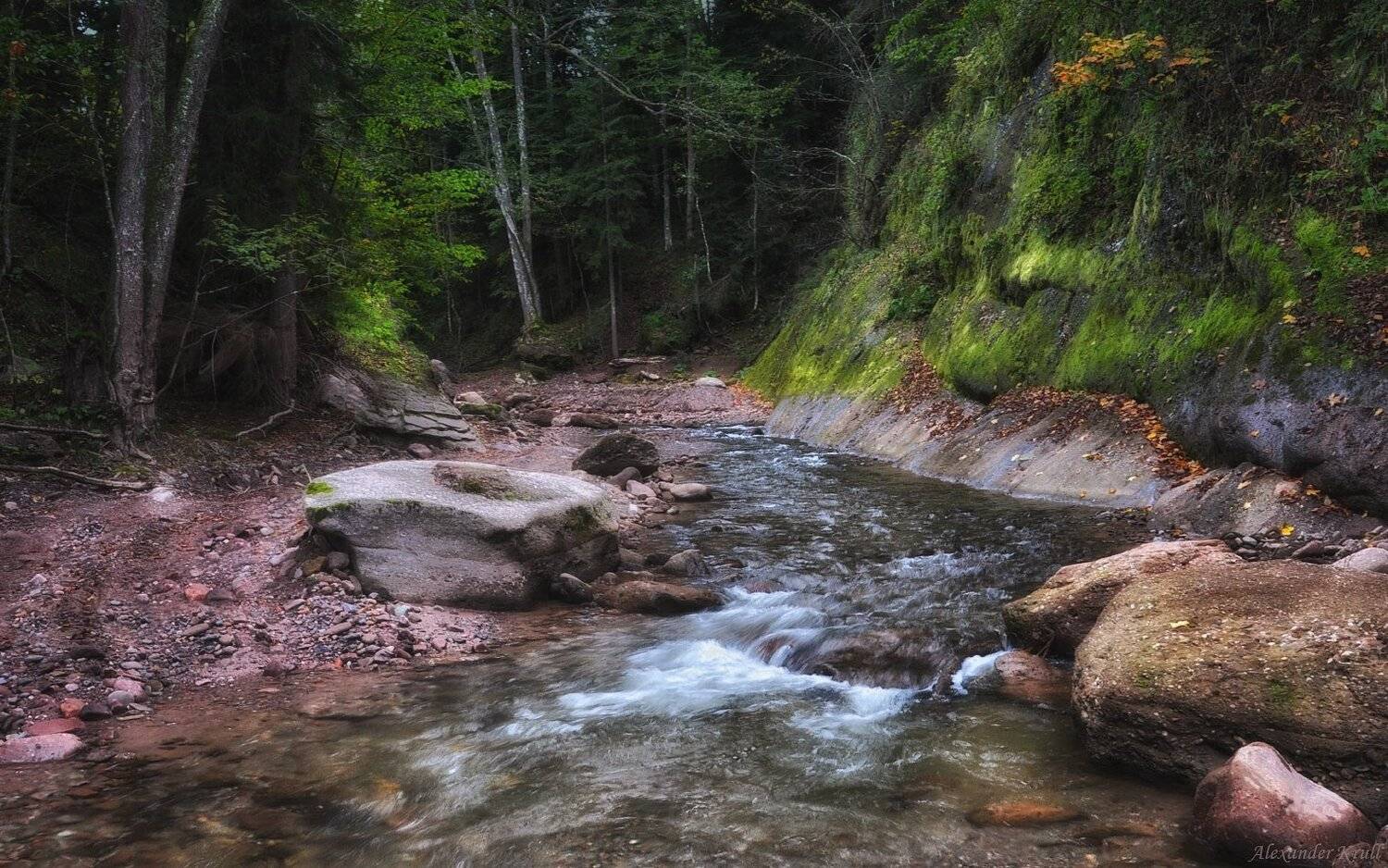 кавказ, кчр, шантацара, Александр Круль