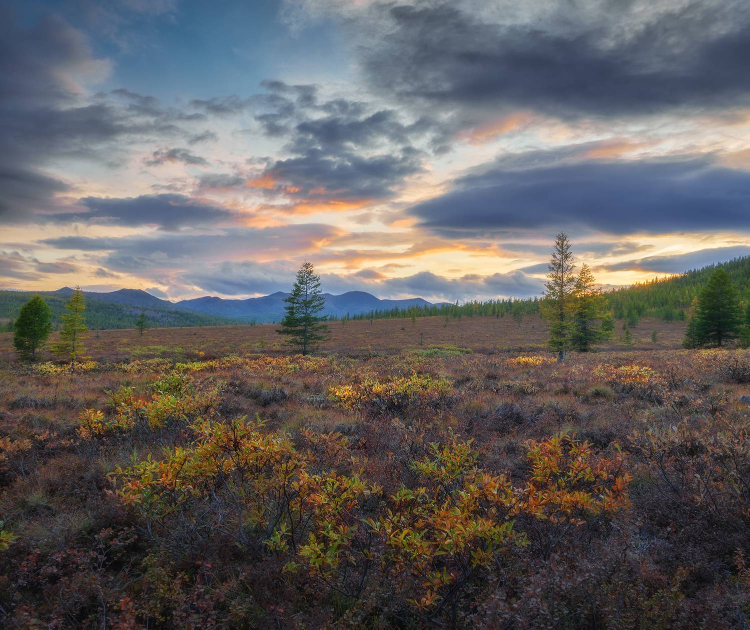 , Андреев Николай