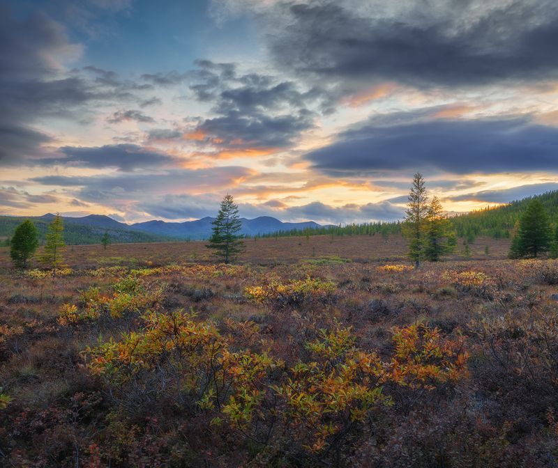 Чукотка. фото превью