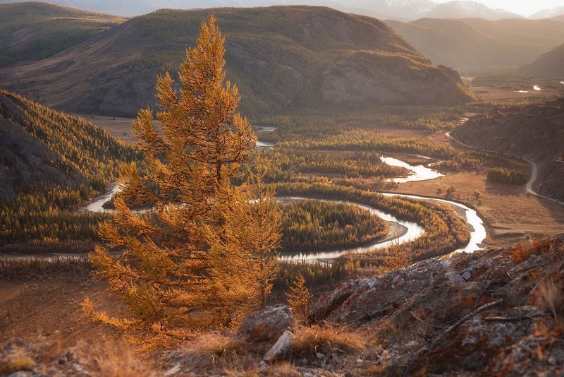 С видом на Чую фото превью