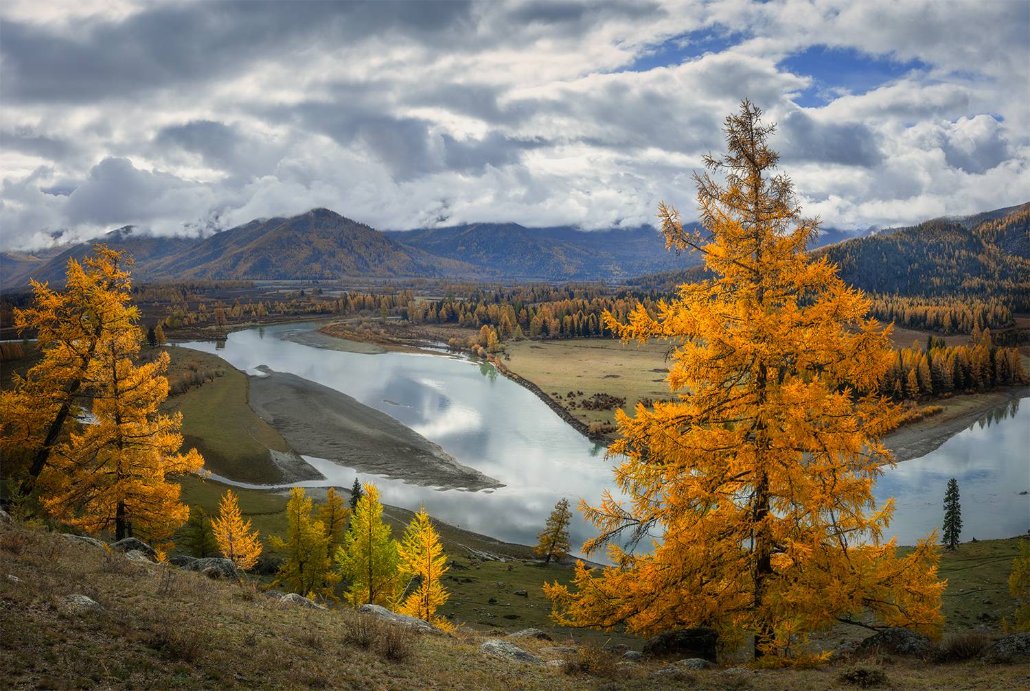 алтай, река, лиственницы, осень, облака, Сергей Буторин