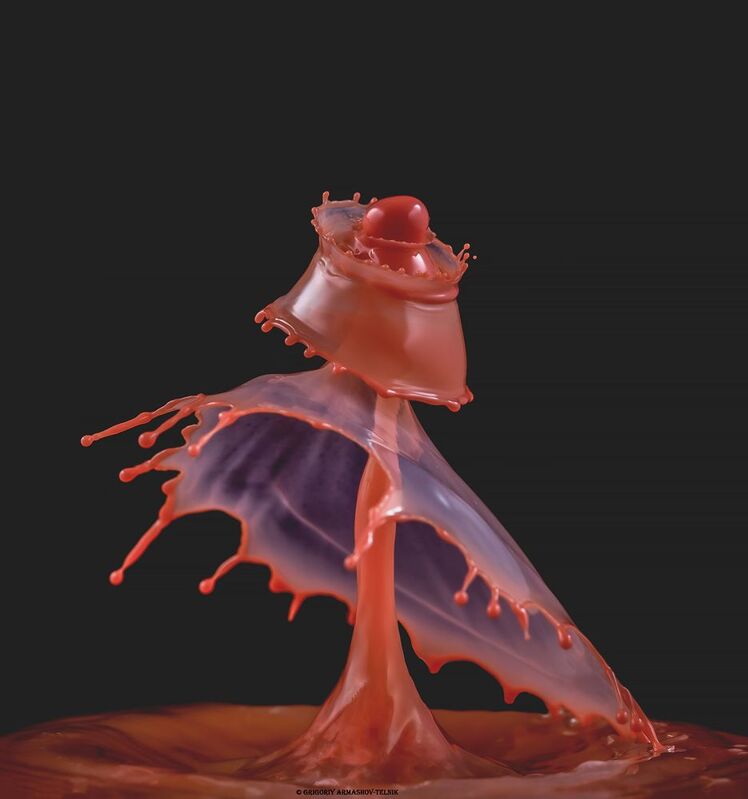 #color_image, #color, #drop, #liqiud, #macro, #water, #macrophoto, #red Red drops фото превью