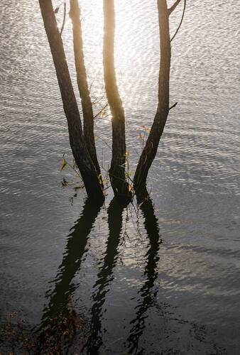 Осень на пруду