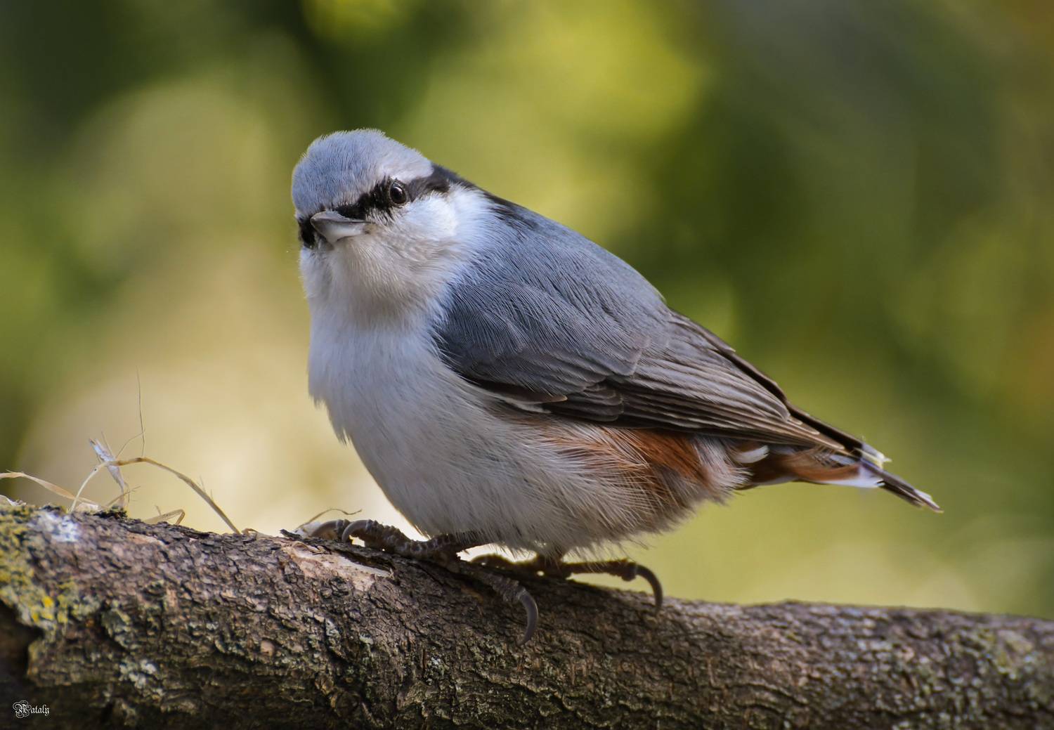 , Наталья Екимова