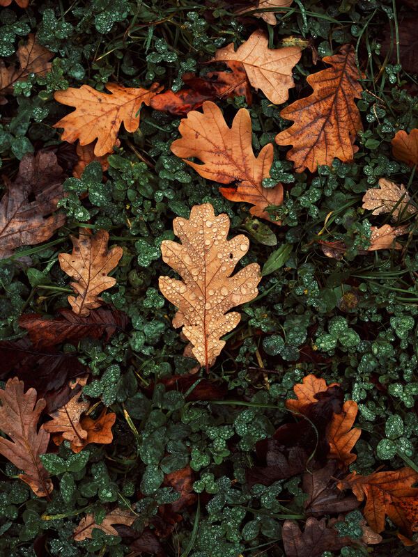 Под ногами фото превью