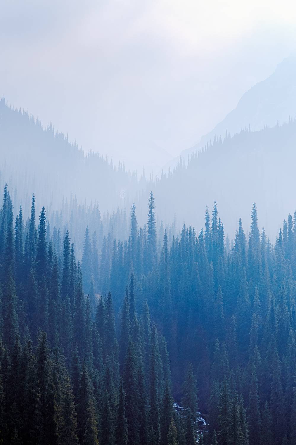 кыргызстан, шамшы, Элина Магалимова