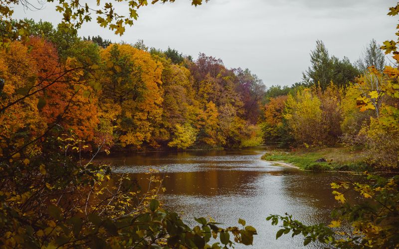 Осень фото превью