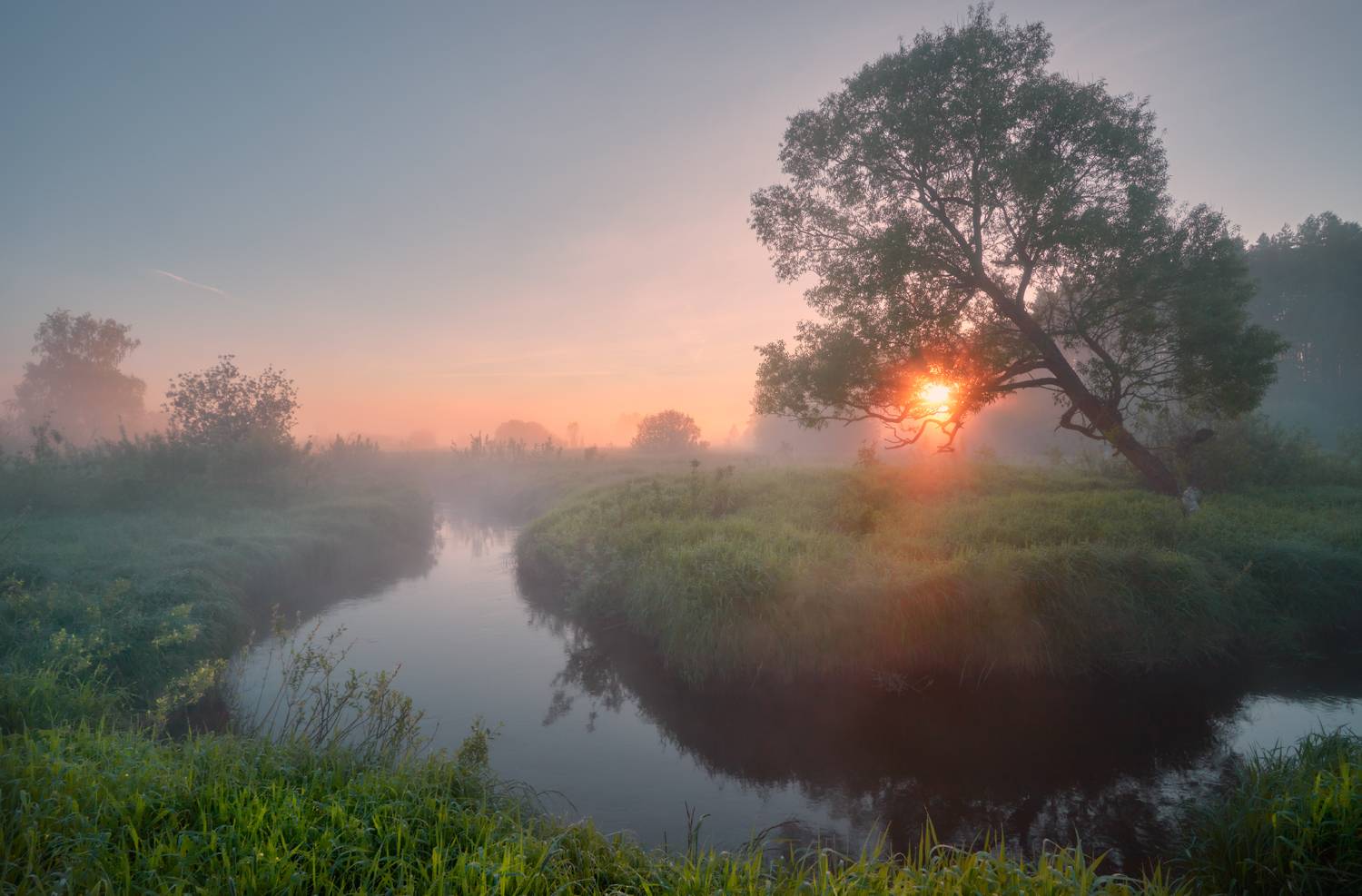 , Роман Лушпа