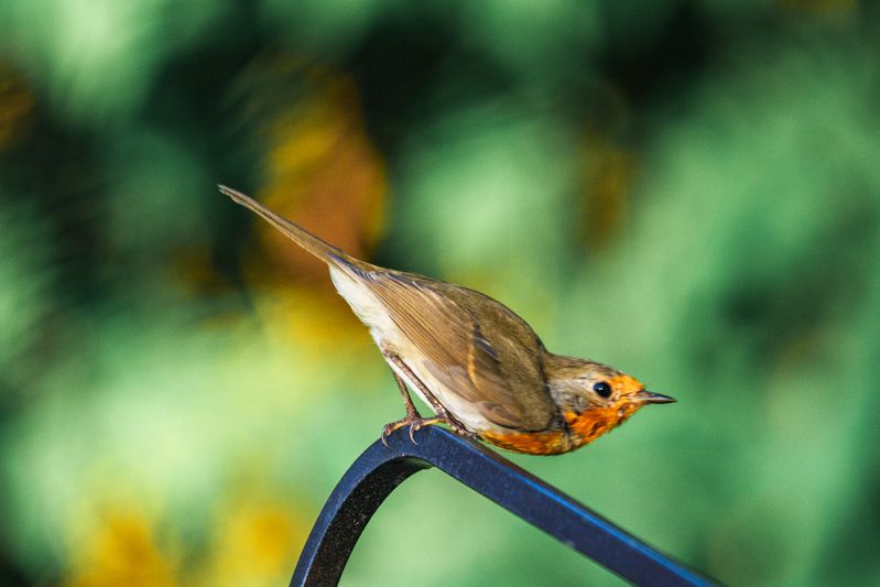 охранник на посту фото превью