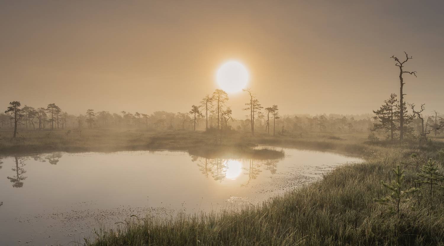 ленинградская область, Brouer Alexey