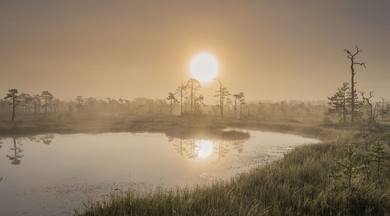 ленинградская область *** фото превью